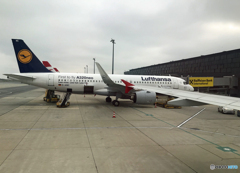 ☮霧の都で出発前・☮A320 neoを撮る