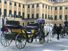 ウイーン（９４）シェーンブルン宮殿前の乗り物