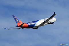 「晴れ」 Air Calin A330-202 F-OHSD 飛び立ち