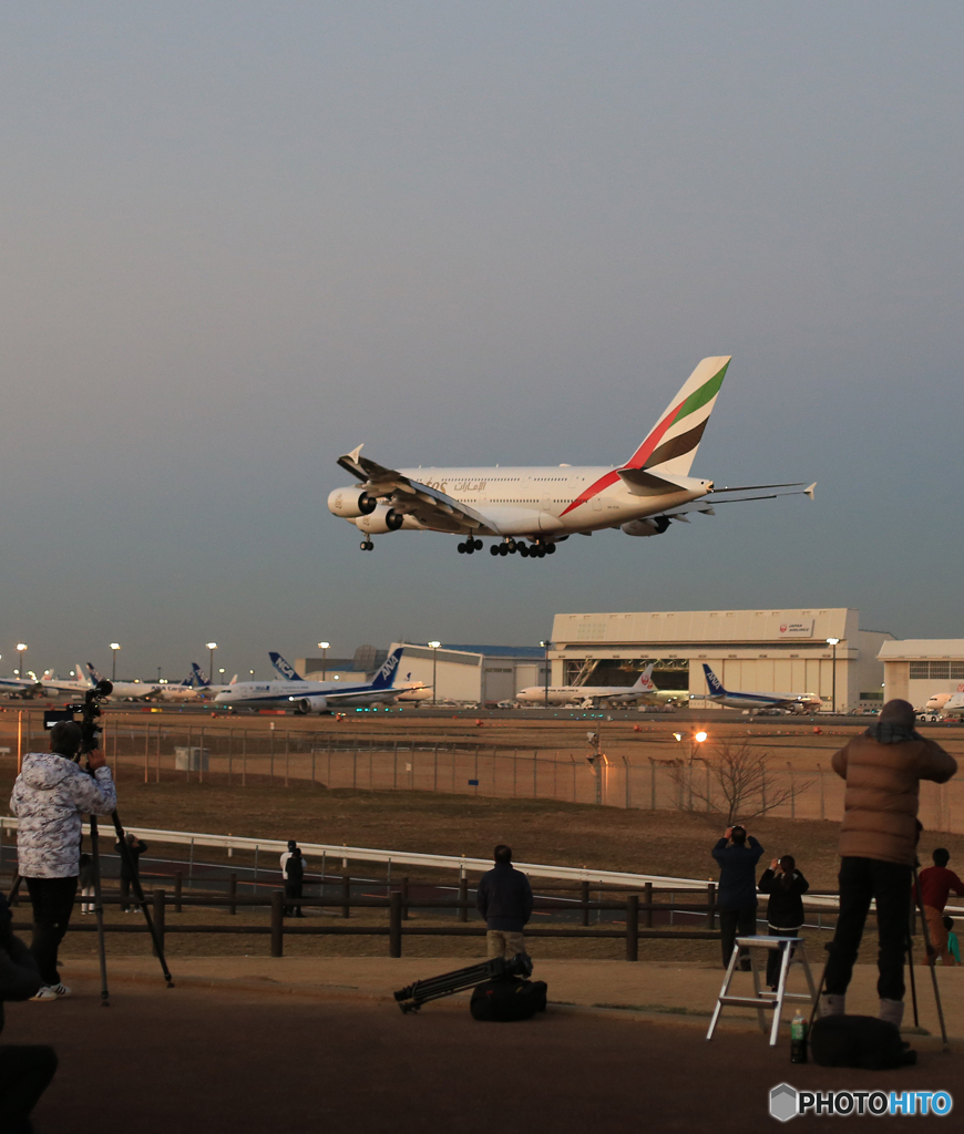  「晴れ」 エミレーツ航空 ✈A380 撮影風景✈