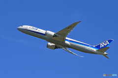 「はれー」　ANA 787-9 JA877A 離陸