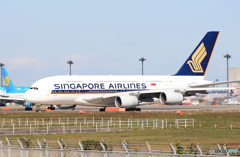 「青が大好き」Singapore A380-841 9V-SKQ 離陸