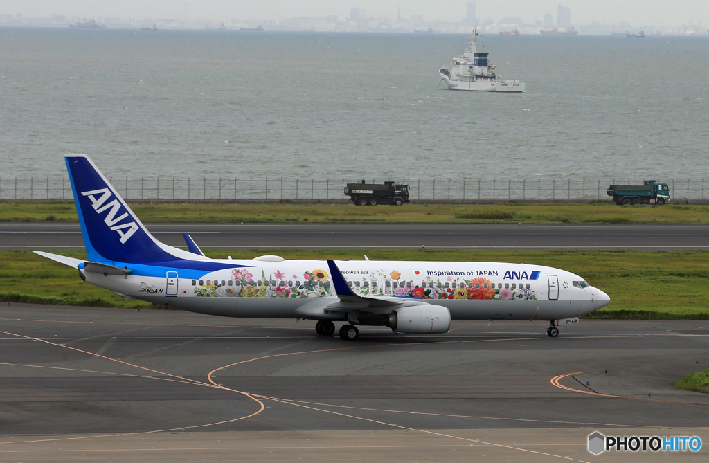 「すかい」東北フラワージェット 737-800 離陸