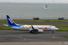 「すかい」東北フラワージェット 737-800 離陸