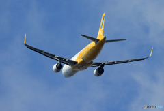 「空色」 バニラ未だ見れますA320 Takeoff