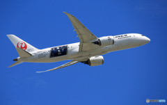 「あおぞら」 JAL 「勝色」 787-8 JA841J 出発