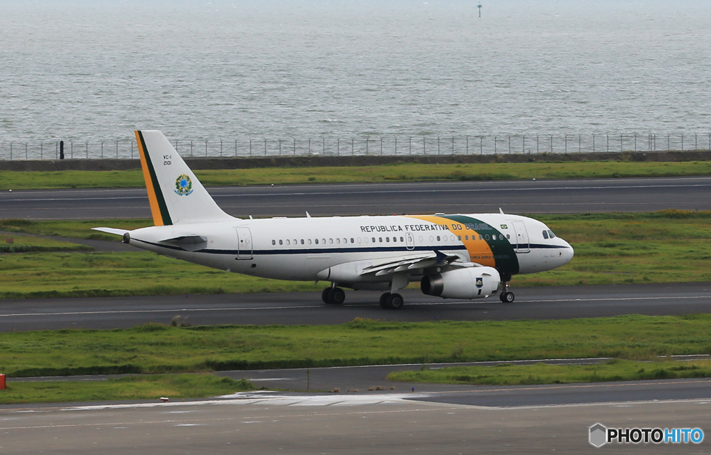 「青が好き」ブラジルA319-133   珍しい飛行機ですね！