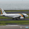 「青が好き」ブラジルA319-133   珍しい飛行機ですね！