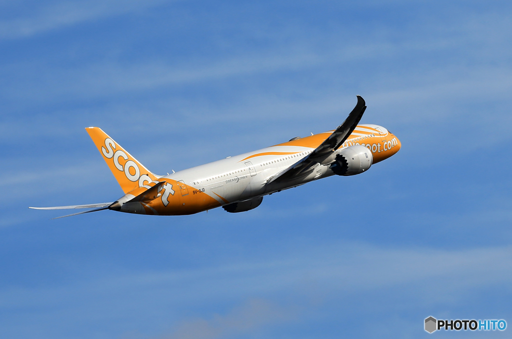 「スカイ」 scoot 787-8 9V-OJD Takeoff 