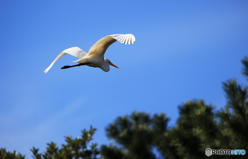 あけましておめでとうございます