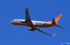 「青い日」JEJU 737-8Q8 HL8296 Takeoff  