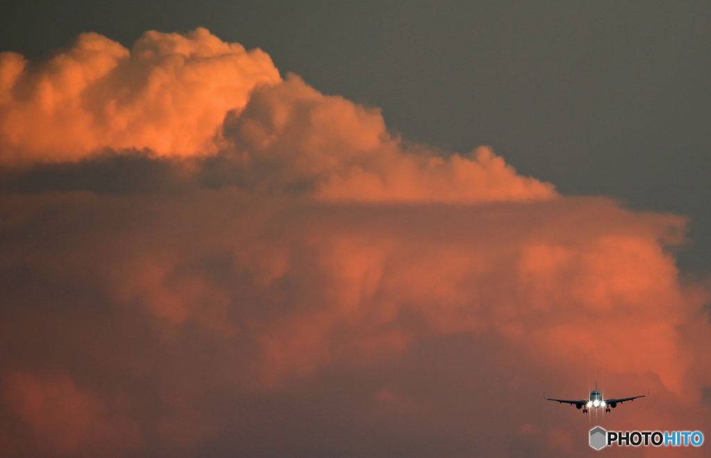 「青が好き」 ☮　羽田空港の夕景　☮