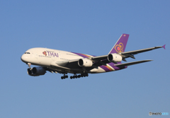 「青い空」が一番　Thai A380-841 HS-TUF  Landing
