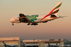 ☀「あおぞら」エミレーツ航空特別塗装EXPO2020 「緑」