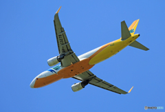 「そらー」 CEBU A320-214 RP-C3279 離陸