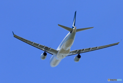 「青が大好き」 Cathay A330-342 B-LAC 離陸
