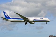 「ぶるー」 ANA 787-9 JA896A 到着です
