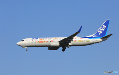 「SKY」東北フラワージェット737-881 Landing