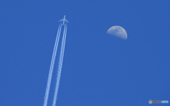 ☀「あおぞら」☮ 飛行機雲とムーン ☮