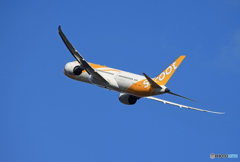 「青色が好き」scoot 787-9 9V-OJD  Takeoff 