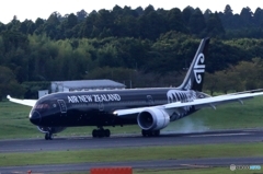 「スカイ」Air New Zealand ☮ All Blacks☮