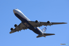 「真青の空」NCA 747-8KZF JA14KZ 出発