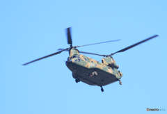 ☮ 陸上自衛隊ヘリ・現在山林火災で活躍中です！