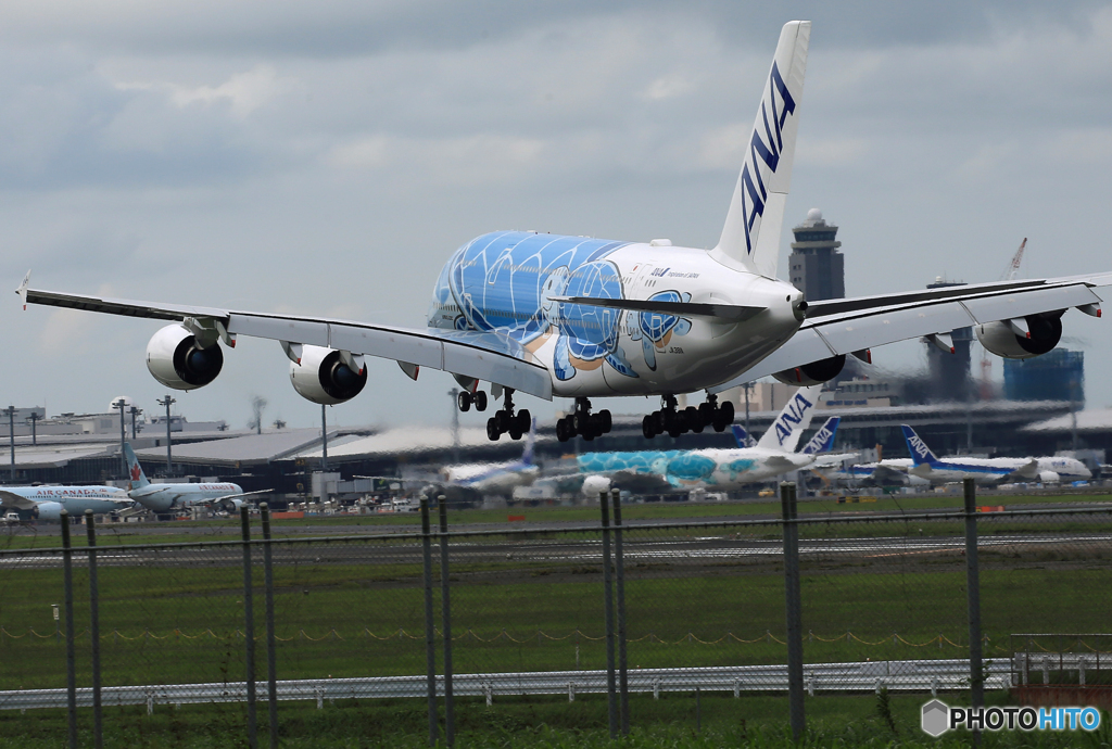 「☁」 ANA A380-841 JA381A 着陸
