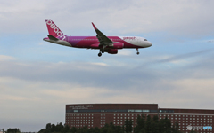 「蒼空」peach A320-214 JA13VA 元バニラ機