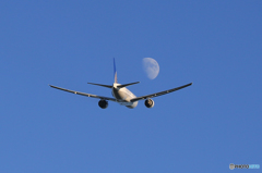 「真青の空」 UNITED と 月  飛んだ