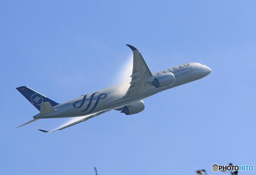 「SKYTEAM」　あら〜　白いものが...
