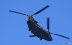 「青色が好き」☮ CH-47JA  ☮チヌーク