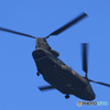 「青色が好き」☮ CH-47JA  ☮チヌーク