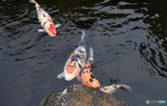 「スカイ」呼ばれた気がする