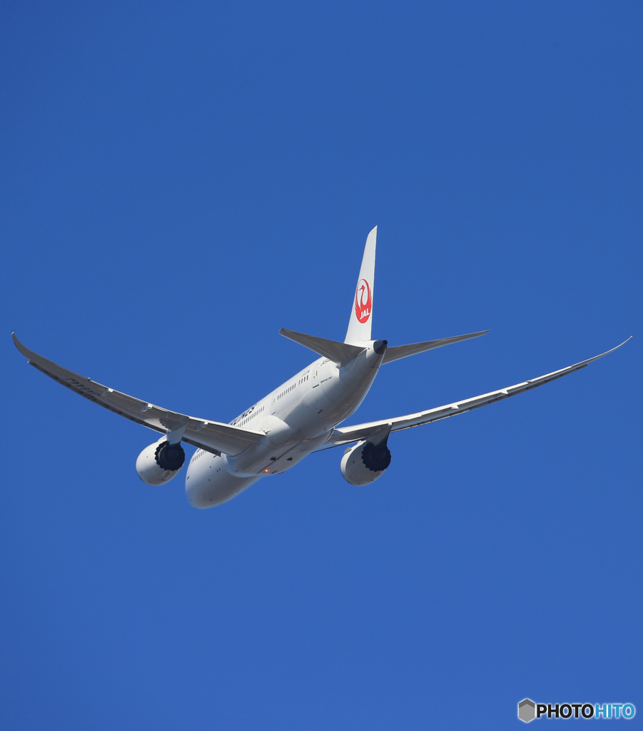 「良い天気」 JAL 787-8 JA844J Takeoff 