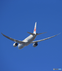 「良い天気」 JAL 787-8 JA844J Takeoff 