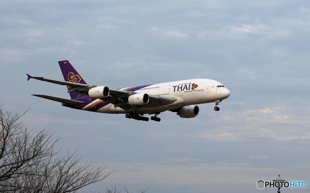 「あおいそら」THAI A380-841 HS-TUA 着陸