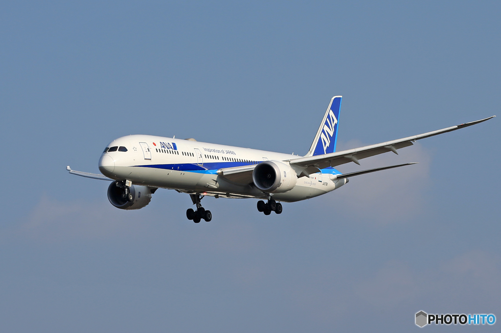 「あおいそら」 ANA 787-9 JA879A