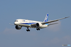 「あおいそら」 ANA 787-9 JA879A