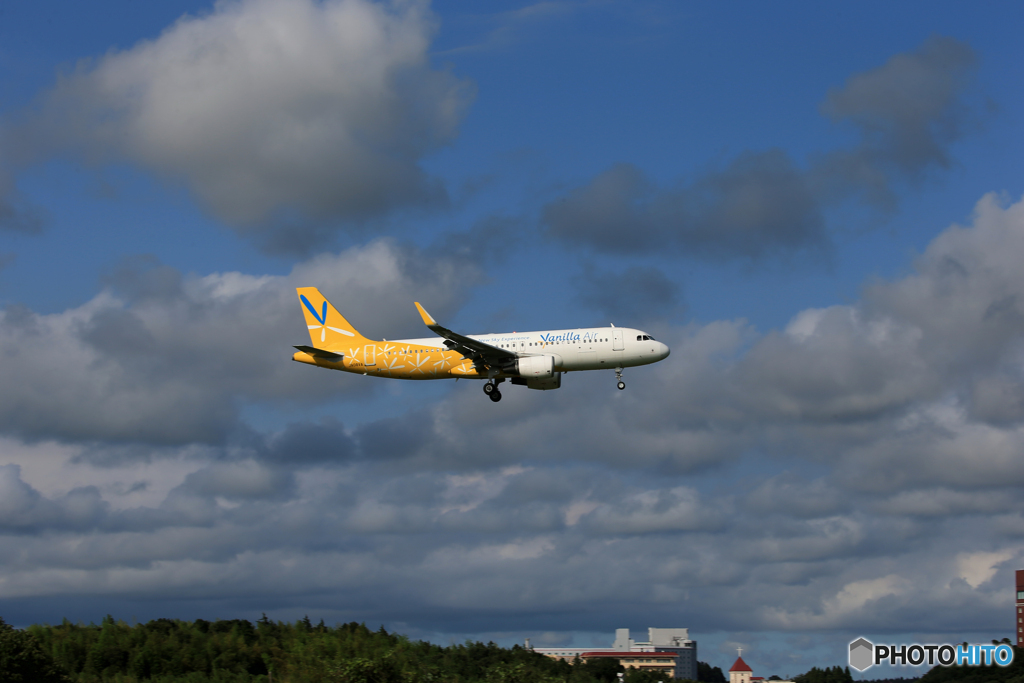 「青色が好き」 バニラ航空 A320-214  未だ見れますよ