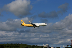 「青色が好き」 バニラ航空 A320-214  未だ見れますよ