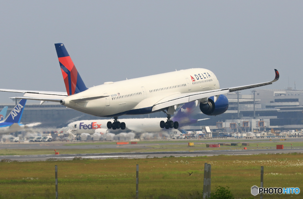 「空色」 DELTA A350-941 N506DN Landing