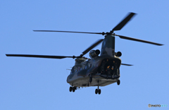 「あおいそら」☮　CH -47J 　ちぬーく　☮