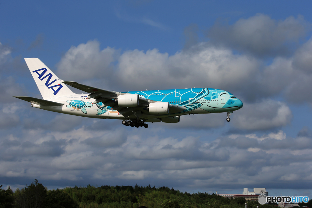 「良い空～」 Flying Honu2 JA382A 到着です