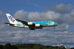 「良い空～」 Flying Honu2 JA382A 到着です