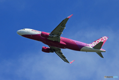 「はれー」　peach A320-214 バニラ機 離陸