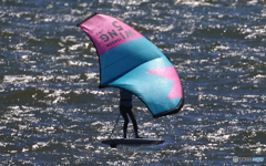 「淡い海」良い風が吹いているねぇ〜