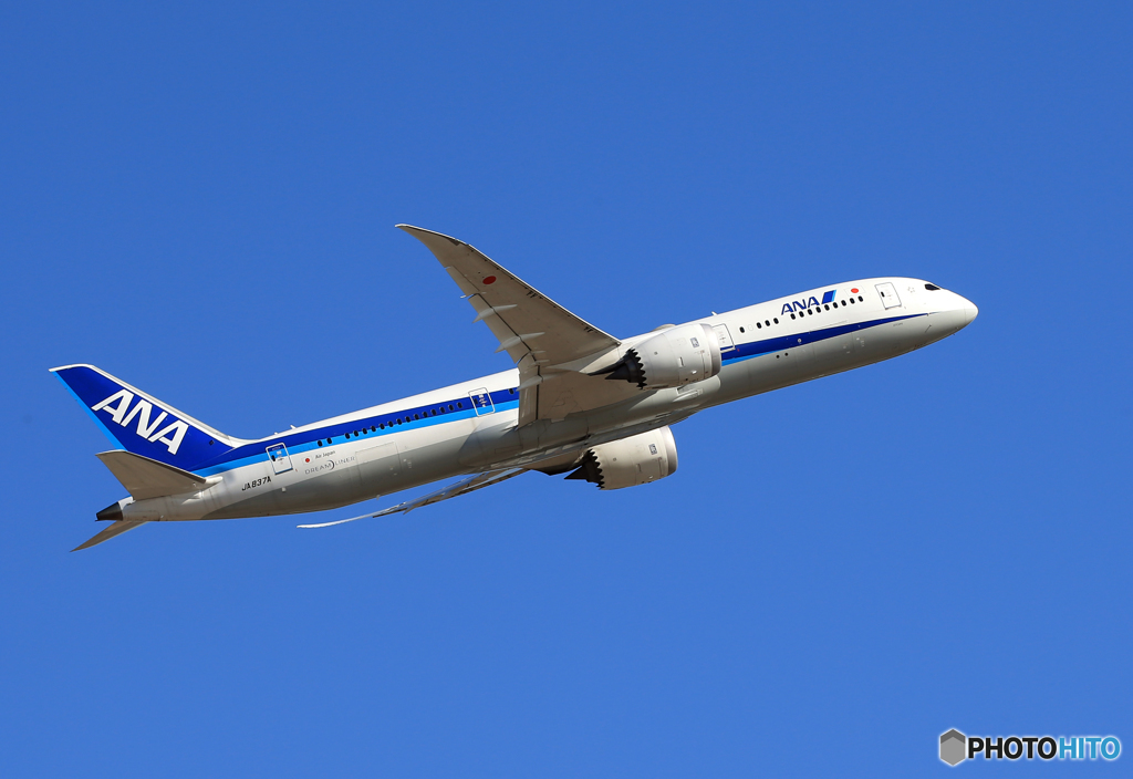 「真青の空」 ANA 787-9 JA837A 飛行