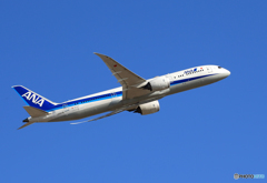「真青の空」 ANA 787-9 JA837A 飛行
