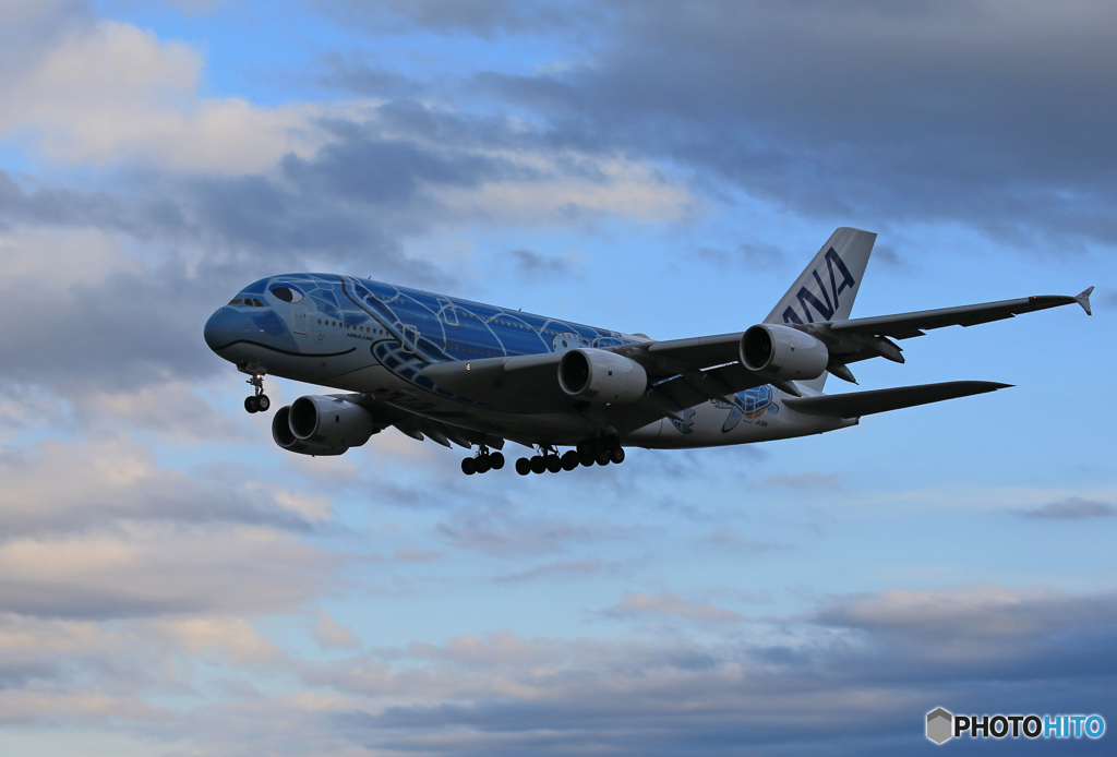 「群青」　夕暮れ・Flying Honu A380-841 着陸です